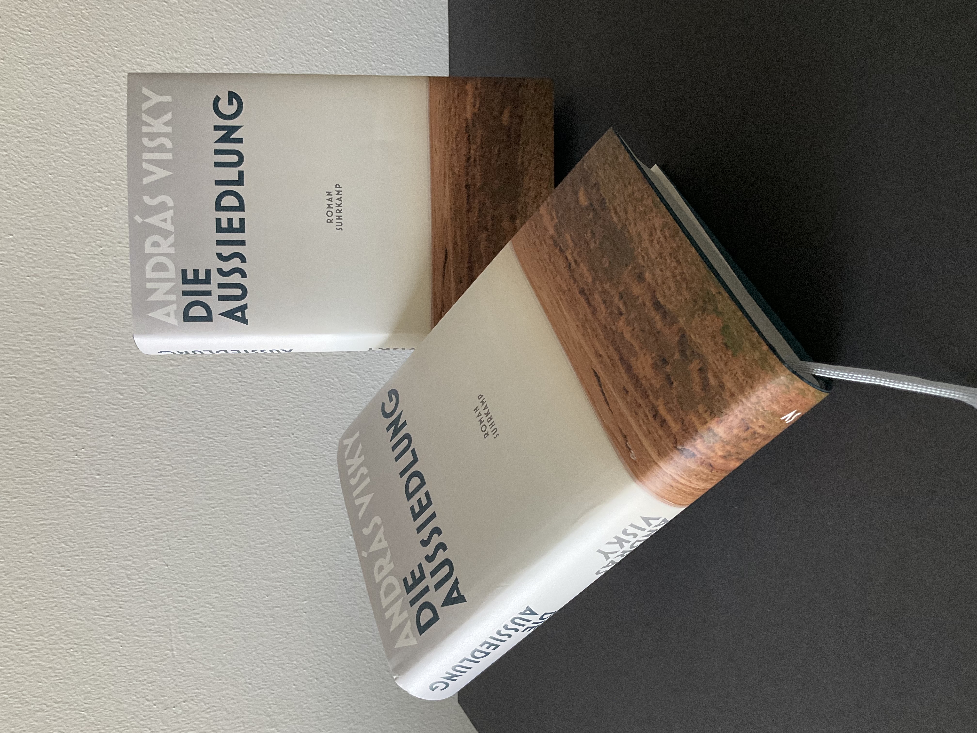 Zwei Bücher von András Visky, Die Aussiedlung liegen auf einem Tisch.