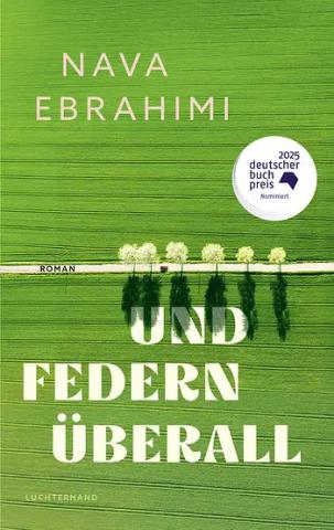 Eine Straße, die durch grüne Felder führt von oben gesehen.
